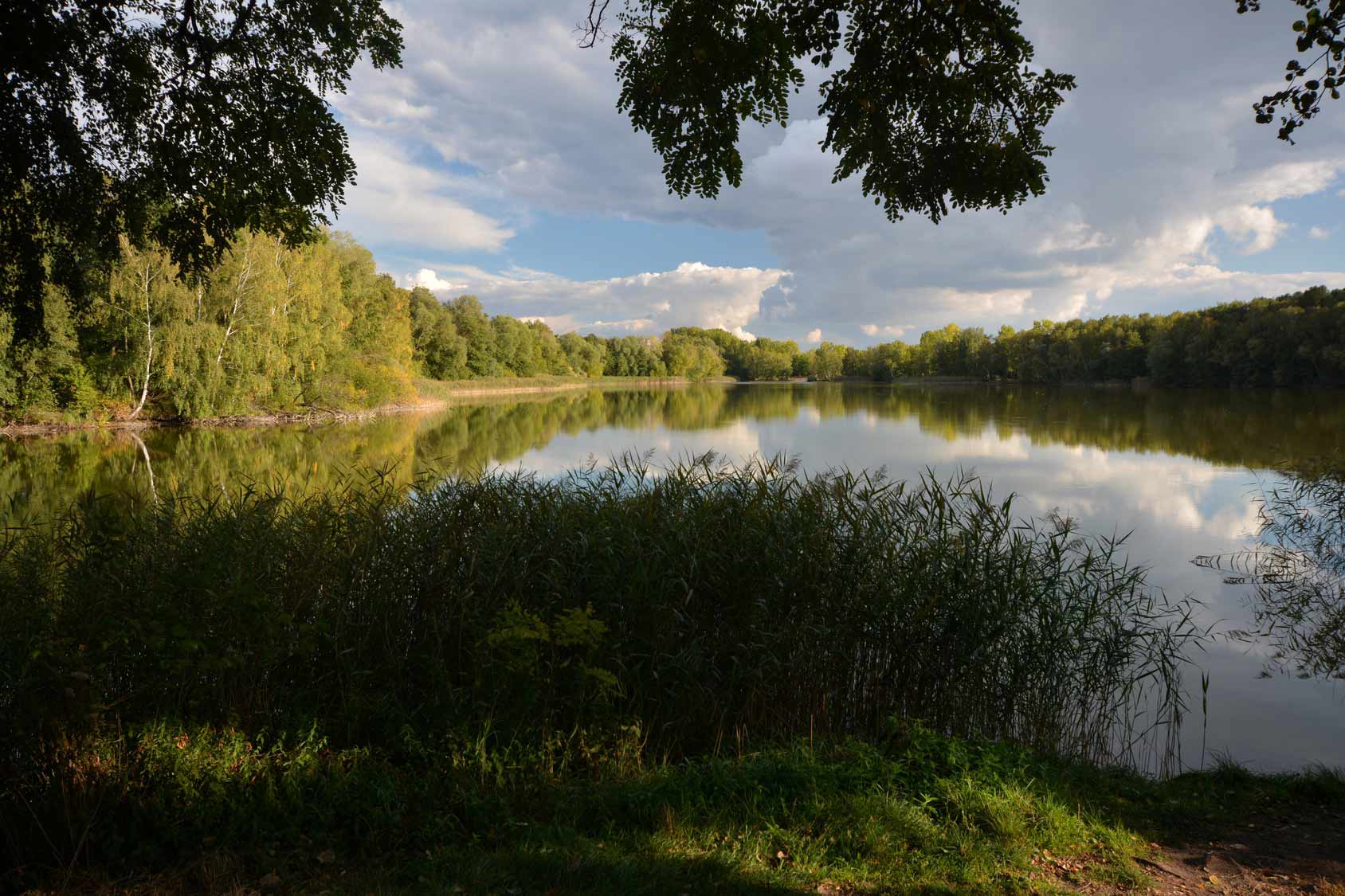 Falkensee am Ufer