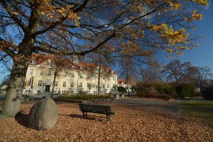 Immobilien Falkensee