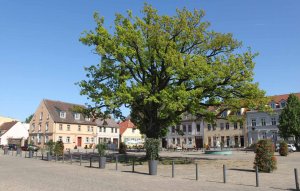 Werder Immobilien Marktplatz