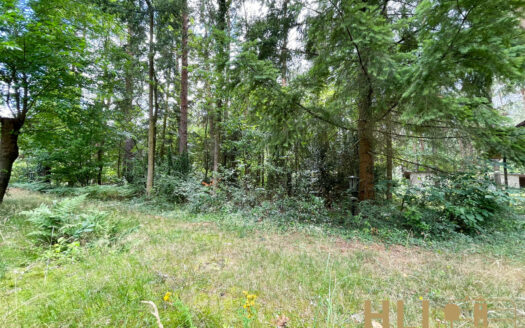 Obj.: 241 / Grundstück mit Sommerhaus für erholungsuchende Großstädter!