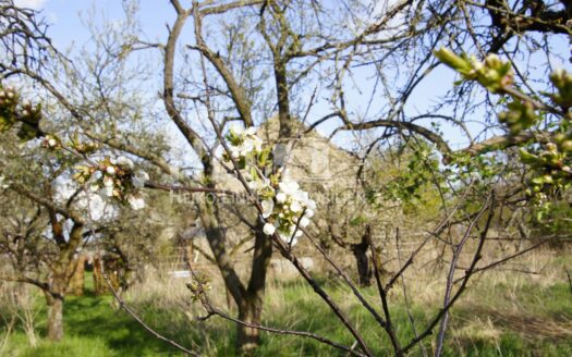 Obj.: 235 / Ein abgeschiedener Obsthof im Dornröschenschlaf zum Liebhaberpreis!