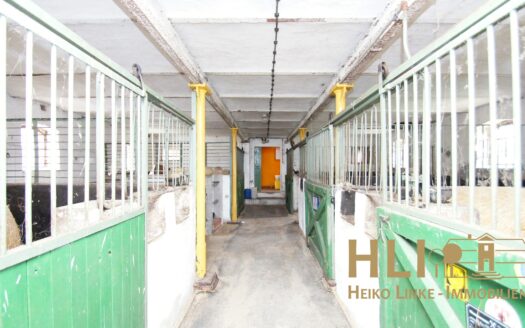 Obj.: 270 / Havelländer Reiterhof im Dornröschenschlaf!