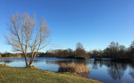 Obj.: 254 / Eine Eigentumswohnung zum Verlieben!