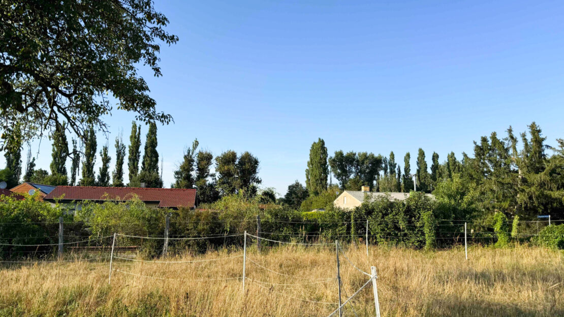 Blick nach Norden zur Straße