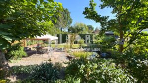 Blick in den Garten