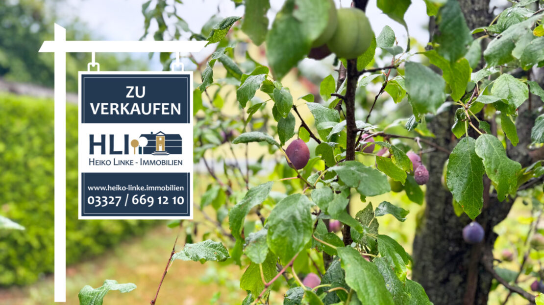 Garten in der Gartenstadt