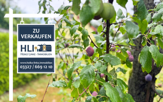 Garten in der Gartenstadt