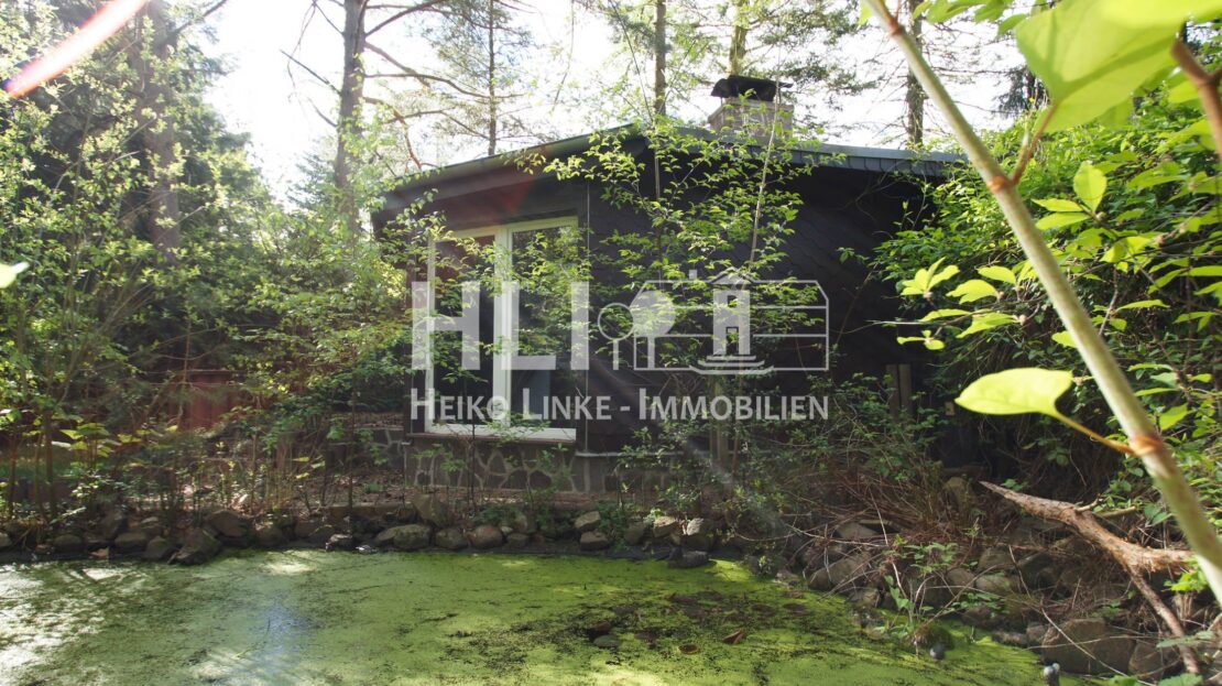 angrenzender Teich