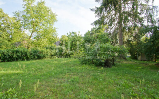 Obj.: 323 / Die Gartenstadt in einer ihrer schönsten Lagen!