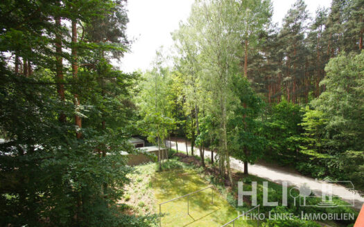 Obj.: 324 / Helle DZW mit Südloggia & Waldblick – gepflegtes Wohnen in Potsdam Waldstadt II