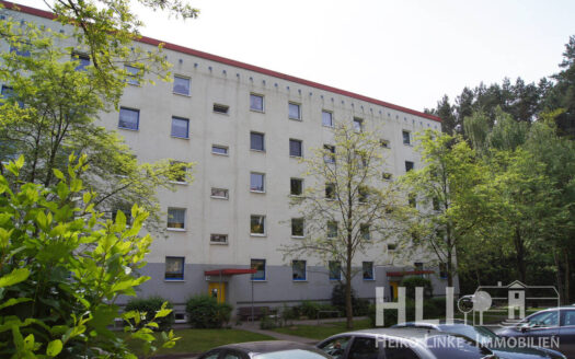 Obj.: 325 / Helle DZW mit Südloggia & Waldblick – gepflegtes Wohnen in Potsdam Waldstadt II