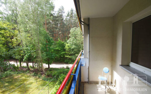 Obj.: 325 / Helle DZW mit Südloggia & Waldblick – gepflegtes Wohnen in Potsdam Waldstadt II