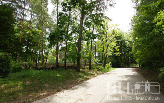 Obj.: 325 / Helle DZW mit Südloggia & Waldblick – gepflegtes Wohnen in Potsdam Waldstadt II