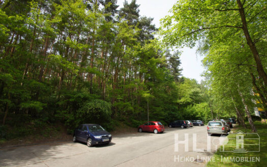 Obj.: 325 / Helle DZW mit Südloggia & Waldblick – gepflegtes Wohnen in Potsdam Waldstadt II